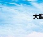 大腳仇恨統(tǒng)計怎么開