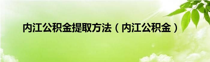 內(nèi)江公積金提取方法（內(nèi)江公積金）