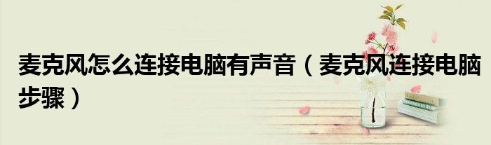 麥克風(fēng)怎么連接電腦有聲音（麥克風(fēng)連接電腦步驟）