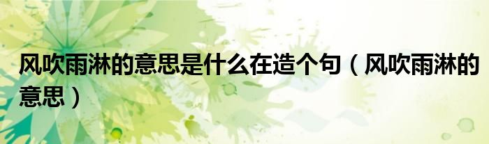 風吹雨淋的意思是什么在造個句（風吹雨淋的意思）