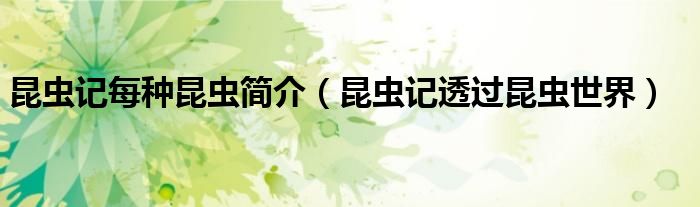 昆蟲記每種昆蟲簡介（昆蟲記透過昆蟲世界）
