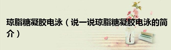 瓊脂糖凝膠電泳（說(shuō)一說(shuō)瓊脂糖凝膠電泳的簡(jiǎn)介）