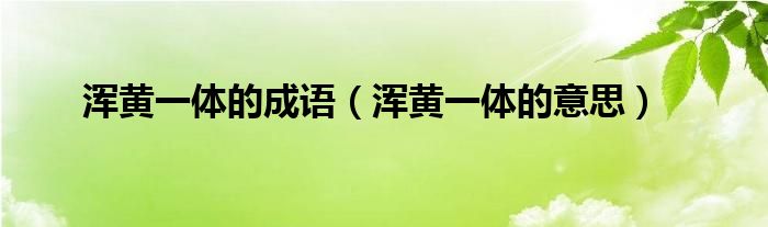 渾黃一體的成語（渾黃一體的意思）