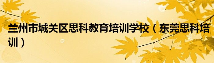 蘭州市城關(guān)區(qū)思科教育培訓(xùn)學(xué)校（東莞思科培訓(xùn)）