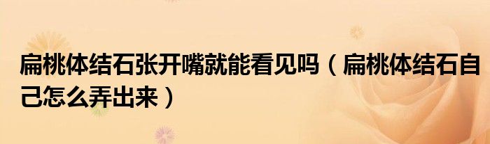 扁桃體結(jié)石張開嘴就能看見嗎（扁桃體結(jié)石自己怎么弄出來）