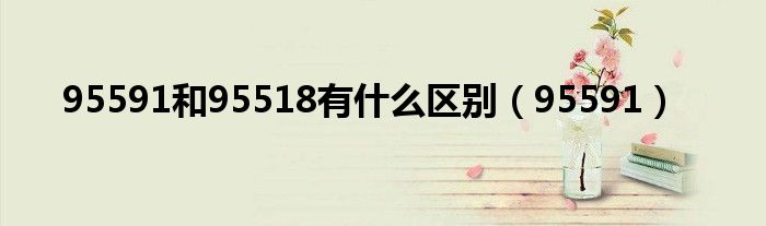 95591和95518有什么區(qū)別（95591）