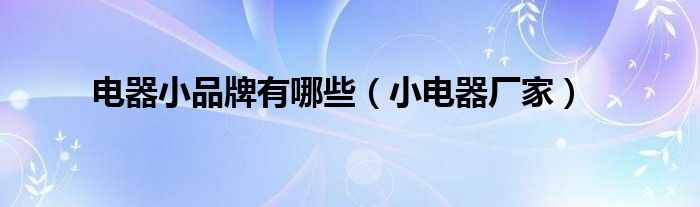 電器小品牌有哪些（小電器廠家）