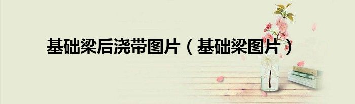 基礎(chǔ)梁后澆帶圖片（基礎(chǔ)梁圖片）