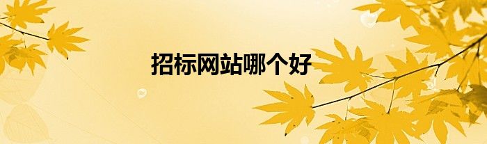 招標(biāo)網(wǎng)站哪個好
