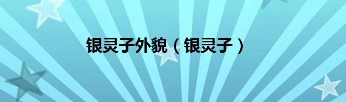 銀靈子外貌（銀靈子）