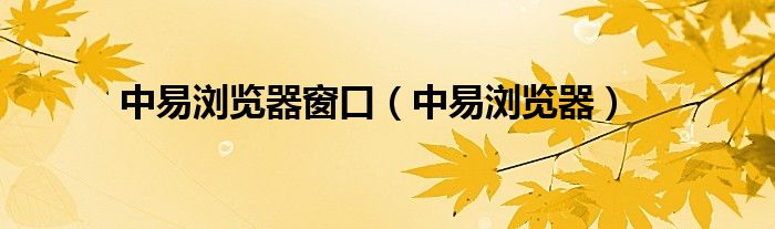 中易瀏覽器窗口（中易瀏覽器）