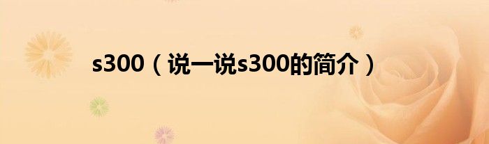 s300（說一說s300的簡介）