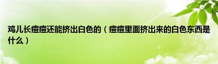 雞兒長痘痘還能擠出白色的（痘痘里面擠出來的白色東西是什么）