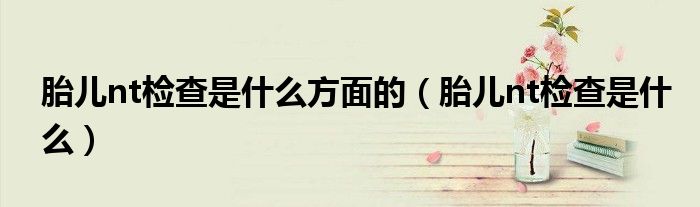 胎兒nt檢查是什么方面的（胎兒nt檢查是什么）