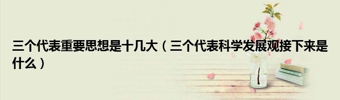 三個(gè)代表重要思想是十幾大（三個(gè)代表科學(xué)發(fā)展觀接下來(lái)是什么）