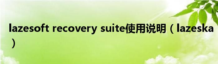 lazesoft recovery suite使用說明（lazeska）