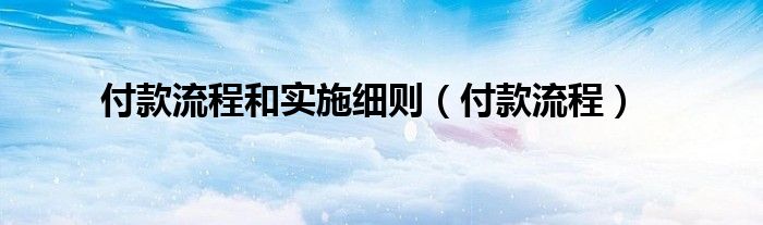 付款流程和實施細則（付款流程）