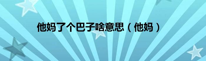 他媽了個巴子啥意思（他媽）
