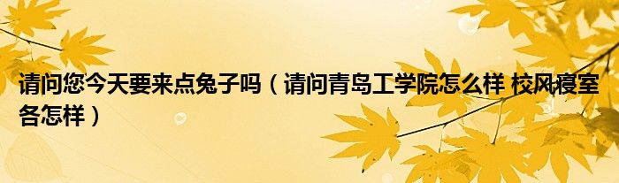 請問您今天要來點兔子嗎（請問青島工學院怎么樣 校風寢室各怎樣）