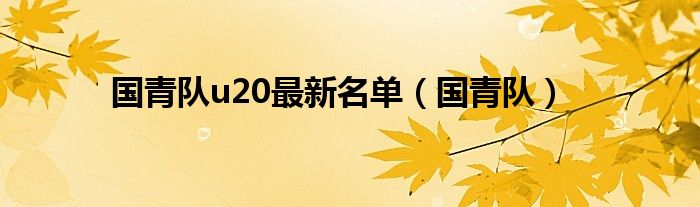 國(guó)青隊(duì)u20最新名單（國(guó)青隊(duì)）