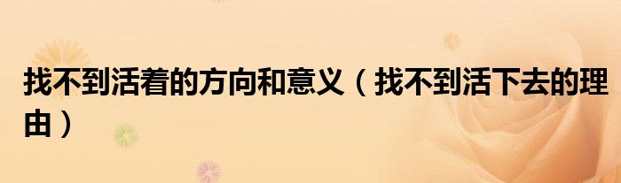 找不到活著的方向和意義（找不到活下去的理由）