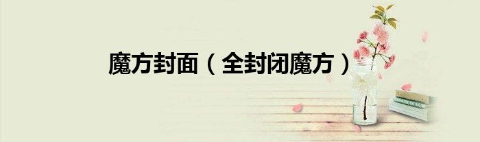 魔方封面（全封閉魔方）