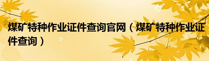 煤礦特種作業(yè)證件查詢官網(wǎng)（煤礦特種作業(yè)證件查詢）