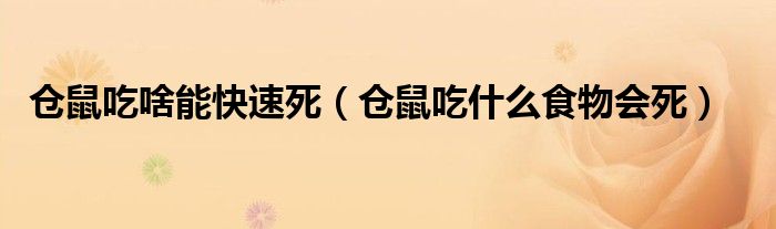 倉鼠吃啥能快速死（倉鼠吃什么食物會(huì)死）
