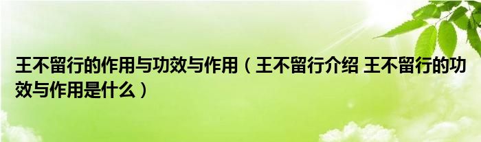 王不留行的作用與功效與作用（王不留行介紹 王不留行的功效與作用是什么）