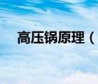 高壓鍋原理（說一說高壓鍋原理的簡(jiǎn)介）