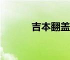 吉本翻蓋集成灶（翻蓋集成灶）
