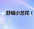 舒城小蘭花（說一說舒城小蘭花的簡介）