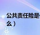 公共責(zé)任險(xiǎn)是什么險(xiǎn) 財(cái)險(xiǎn)（公共責(zé)任險(xiǎn)是什么）