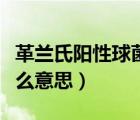 革蘭氏陽性球菌是什么（革蘭氏陽性球菌是什么意思）