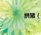 拱豬（說一說拱豬的簡介）