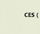 CES（說一說CES的簡介）