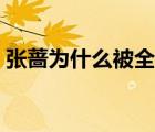 張薔為什么被全面封殺（張薔為什么被封殺）