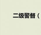二級(jí)警督（說(shuō)一說(shuō)二級(jí)警督的簡(jiǎn)介）