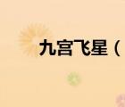 九宮飛星（說一說九宮飛星的簡介）