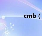 cmb（說(shuō)一說(shuō)cmb的簡(jiǎn)介）