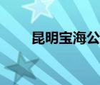 昆明寶海公園圖片（昆明寶海公園）