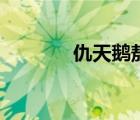 仇天鵝敖子龍續(xù)寫（仇天鵝）