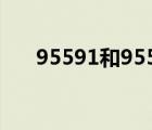 95591和95518有什么區(qū)別（95591）