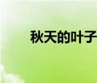 秋天的葉子美術(shù)教案（秋天的葉子）