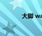 大腳 wa插件（大腳lol插件）
