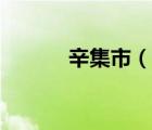 辛集市（說(shuō)一說(shuō)辛集市的簡(jiǎn)介）