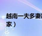 越南一夫多妻制是真的?（越南一夫多妻制國(guó)家）