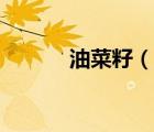 油菜籽（說一說油菜籽的簡介）