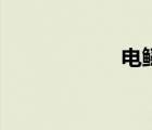 電鰩魚百科（電鰩）