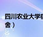 四川農(nóng)業(yè)大學(xué)宿舍是幾人間（四川農(nóng)業(yè)大學(xué)宿舍）